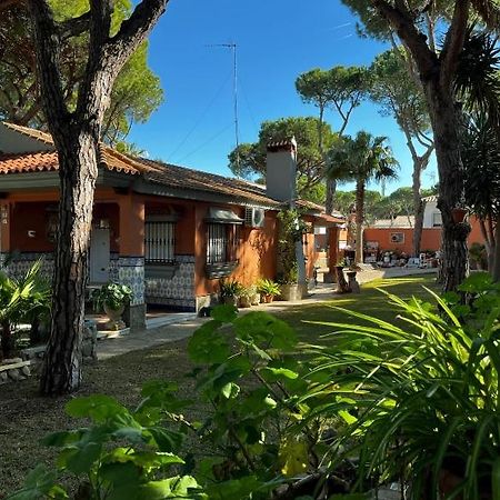 Chalet Los Pinos Con Piscina Privada ノボ・サンクティ・ペトリ エクステリア 写真