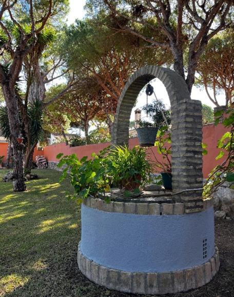 Chalet Los Pinos Con Piscina Privada ノボ・サンクティ・ペトリ エクステリア 写真